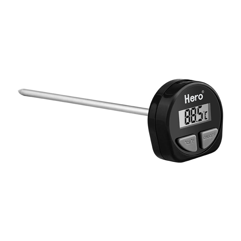 Electronic Thermometer